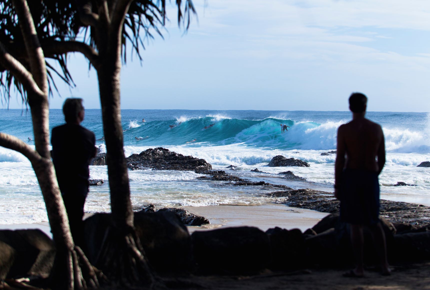 real estate ashmore surfers