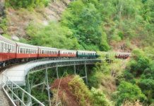 Cairns Property Market 2024-2025 cairns property market feature