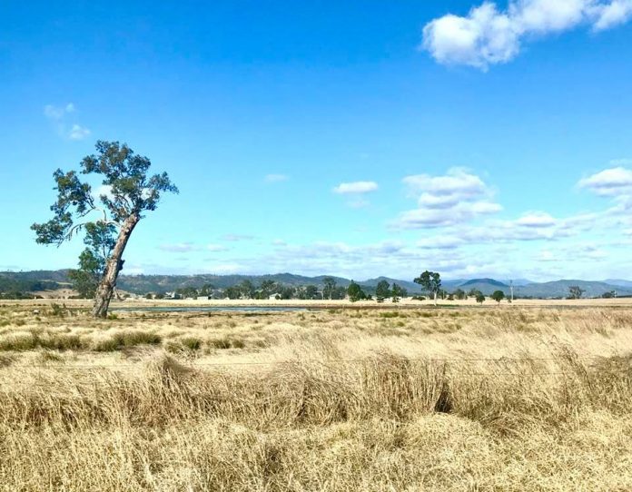 mt barney 1