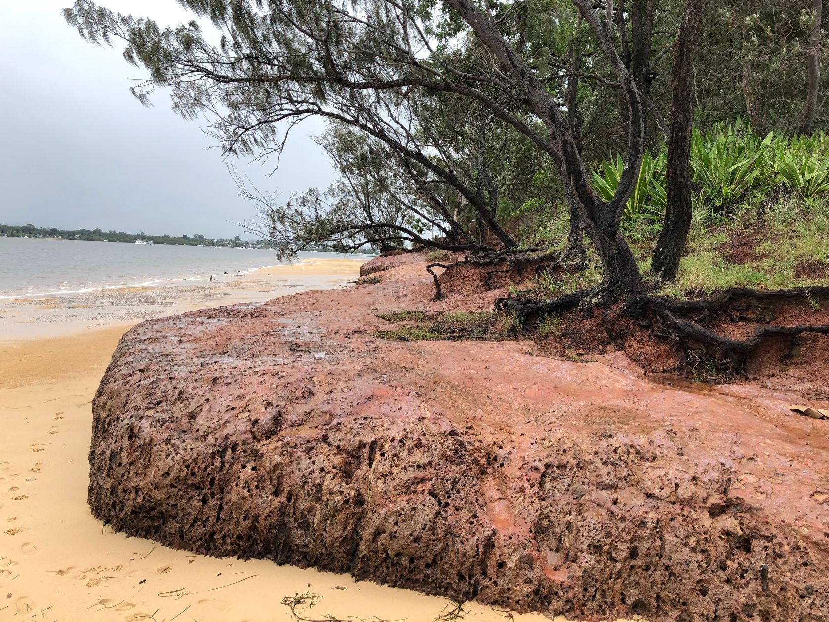 Brisbane's Islands Coochiemudlo