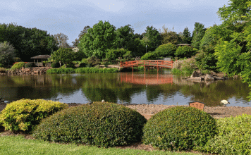 Toowoomba Property Market, Picture of Toowoomba's famous Japanese Gardens