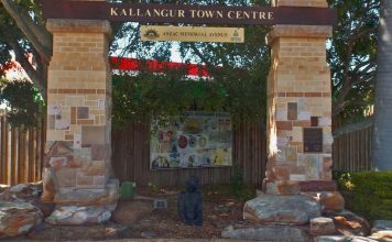 Kallangur might be a busy suburb in the heart of Brisbane's outer north, but just over the hill is stunning farm and bush land!