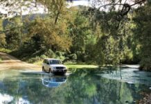 Queensland Must Dos: Conondale National Park